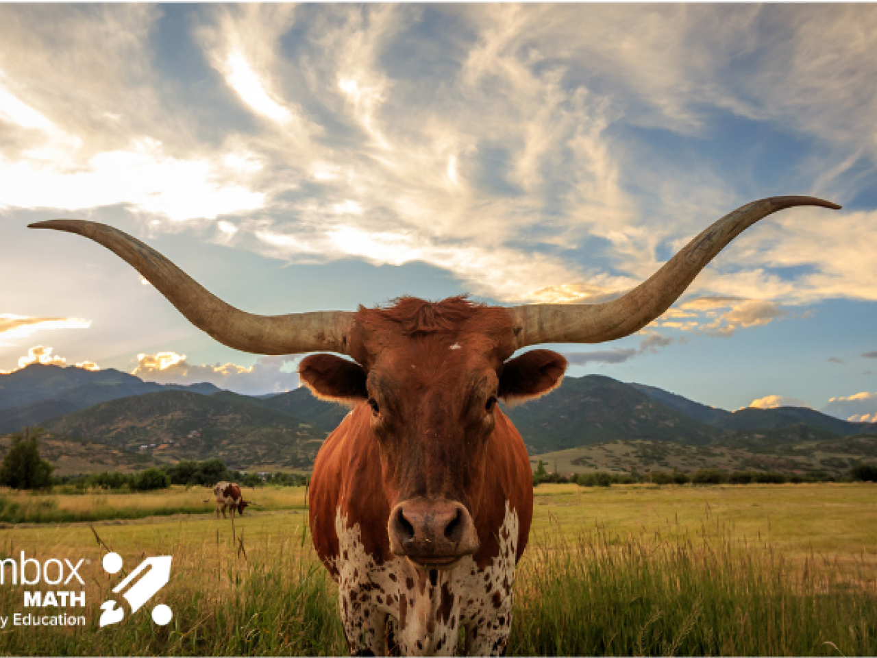 Texas Longhorn bull with "dreambox math" logo overlaid