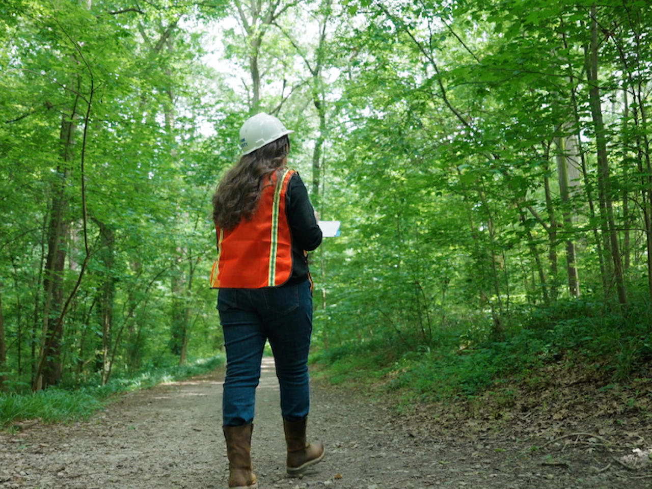 person walking through a forest