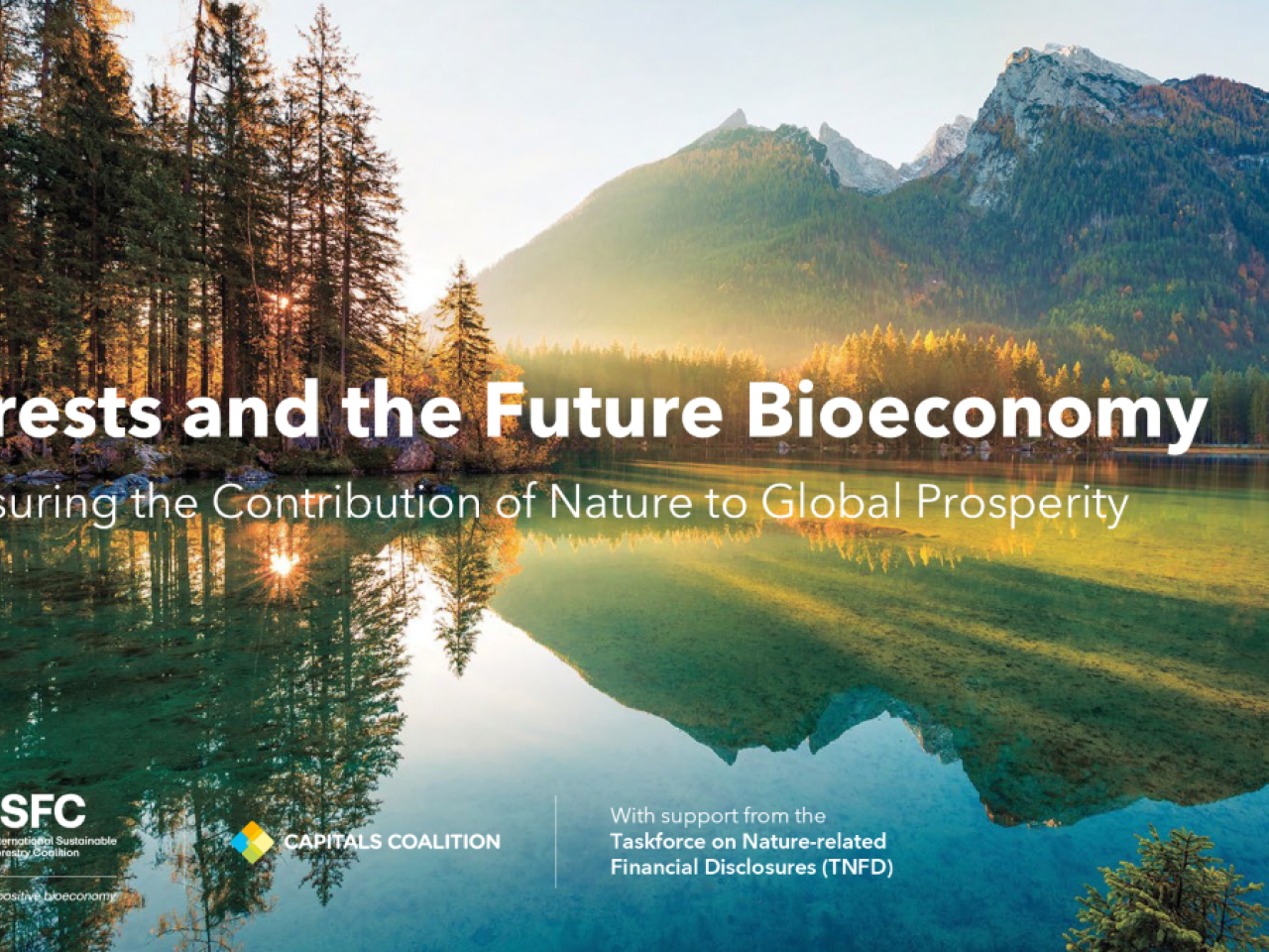 "Forests and the Future Bioeconomy"