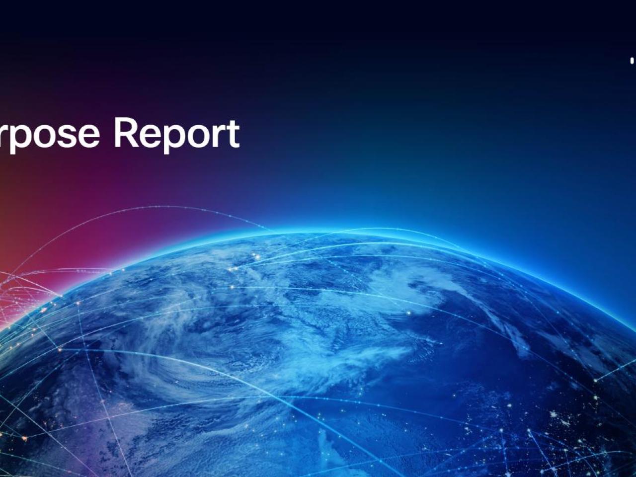 "Purpose Report" cover