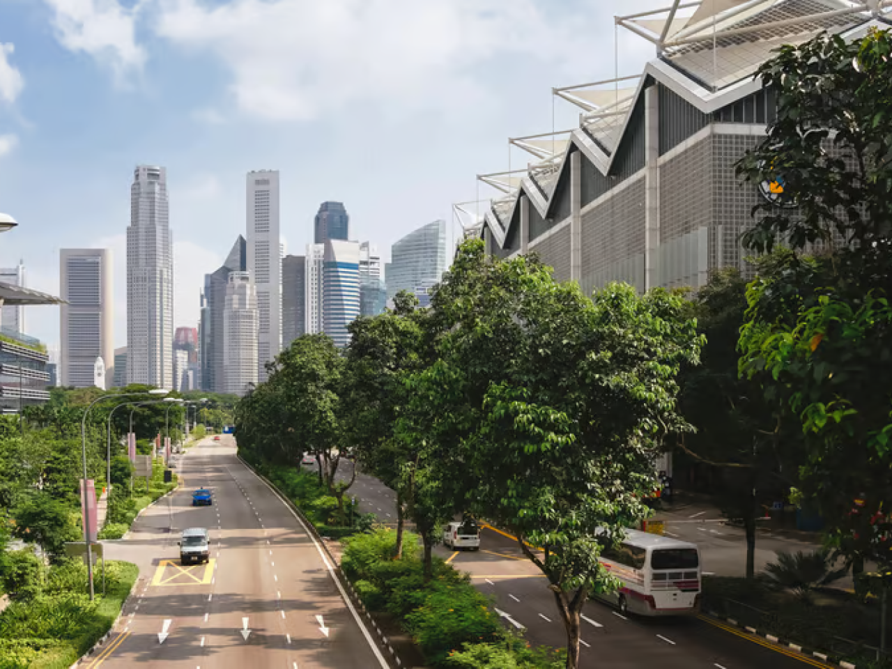 City streets lined with trees and tall buildings. Cars on each side of the multi-lane roads and skyscrapers in the distance.