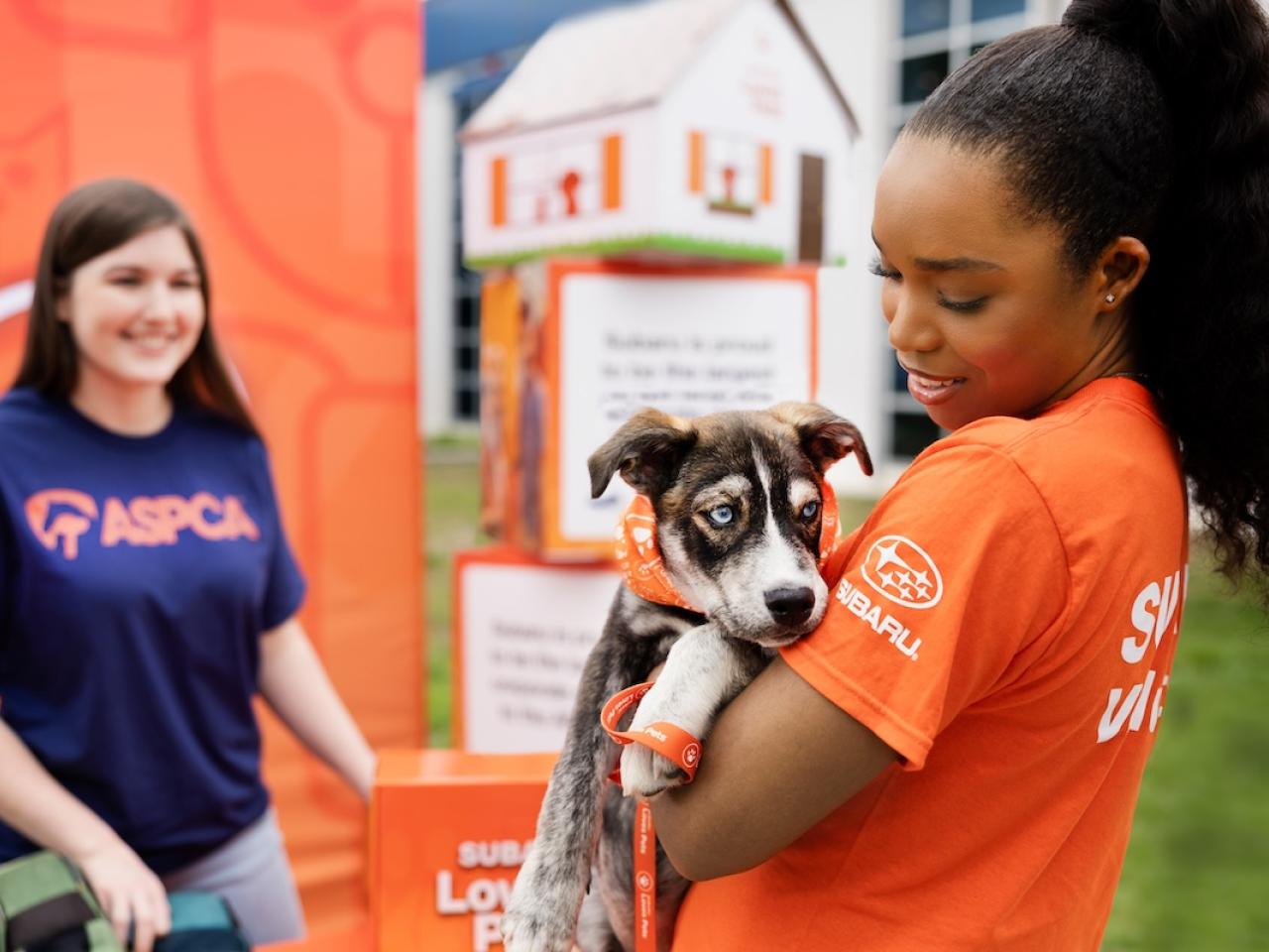 person holding a puppy