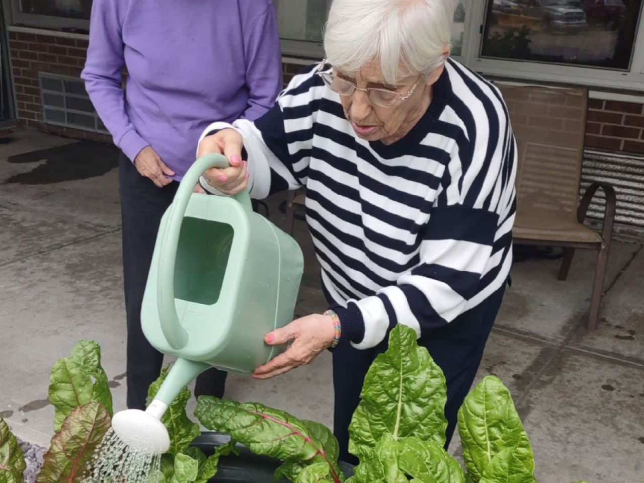 a person watering plants