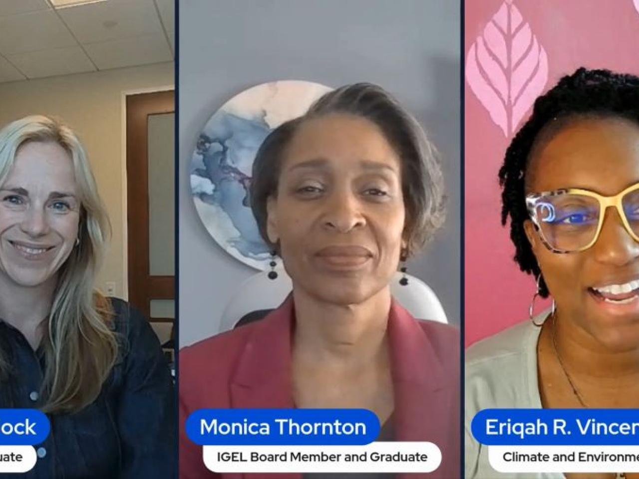 IGEL leaders in Climate Digest Interview
