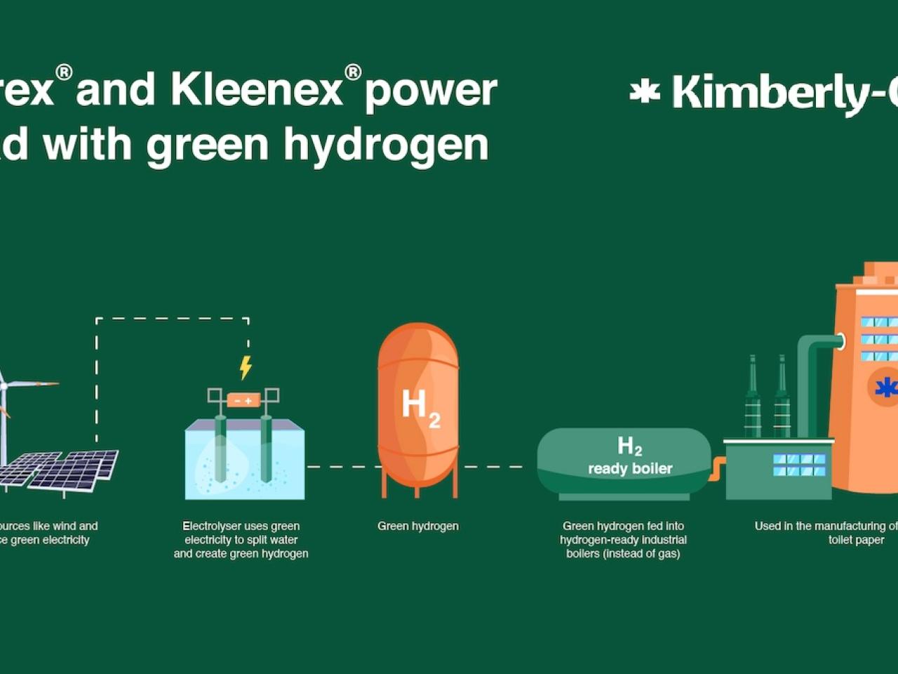 Andrex and Kleenex power ahead with green hydrogen infographic