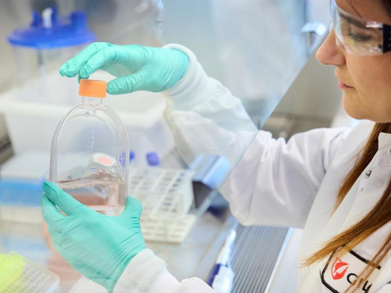 scientist working in a wet lab