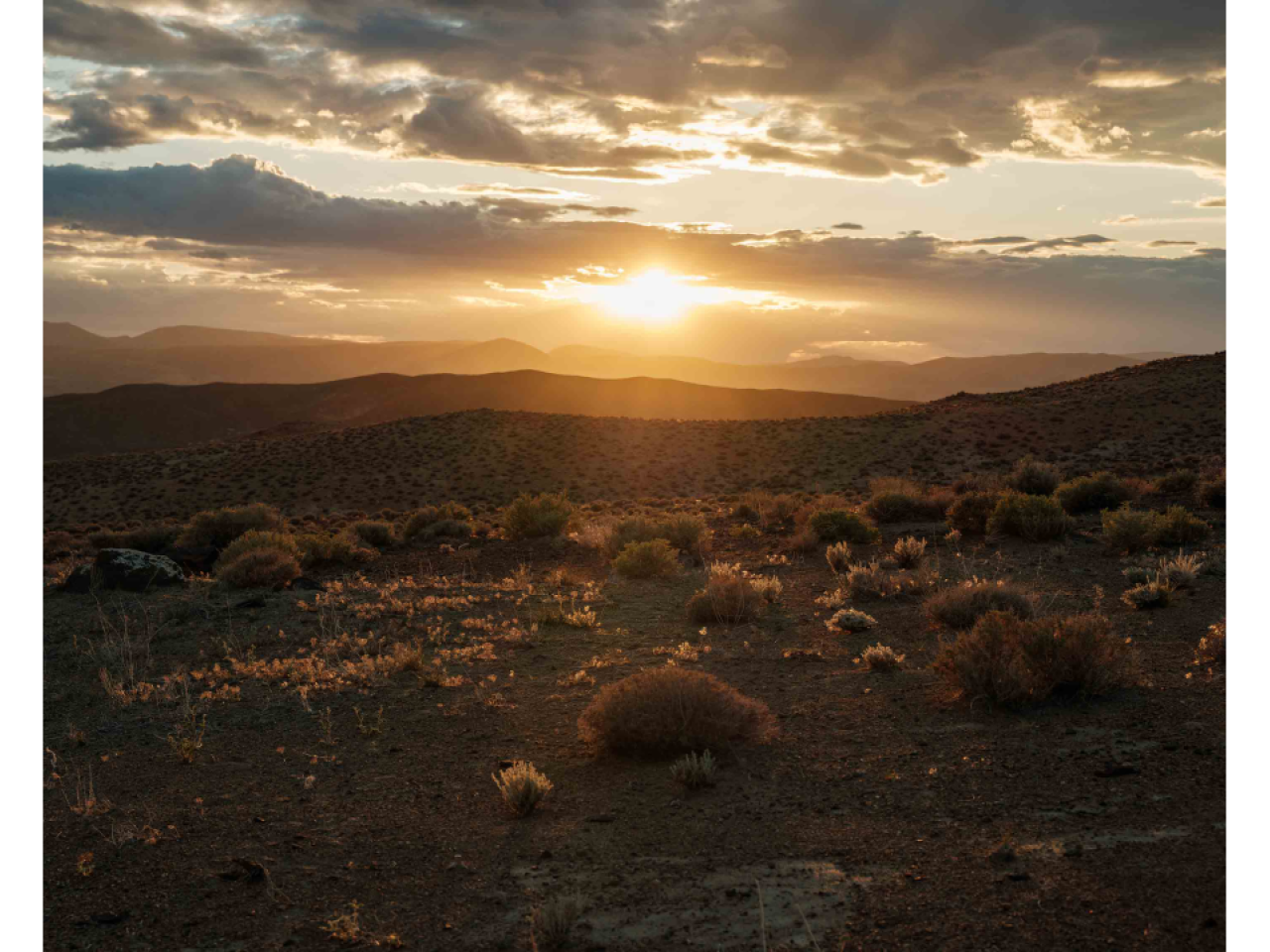sun at horizon over a landscape