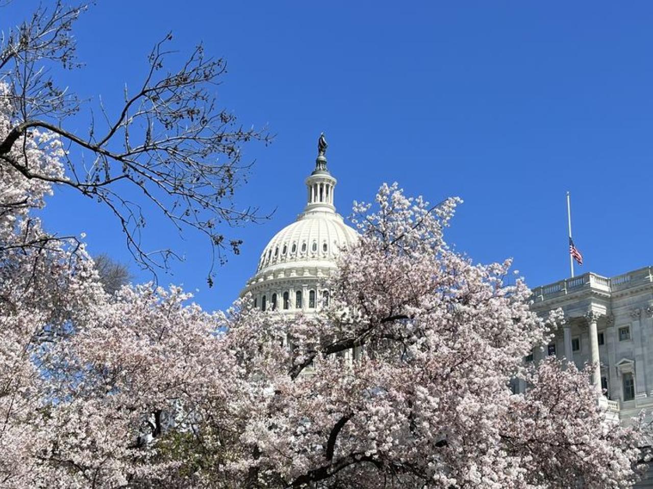 Capitol Hill