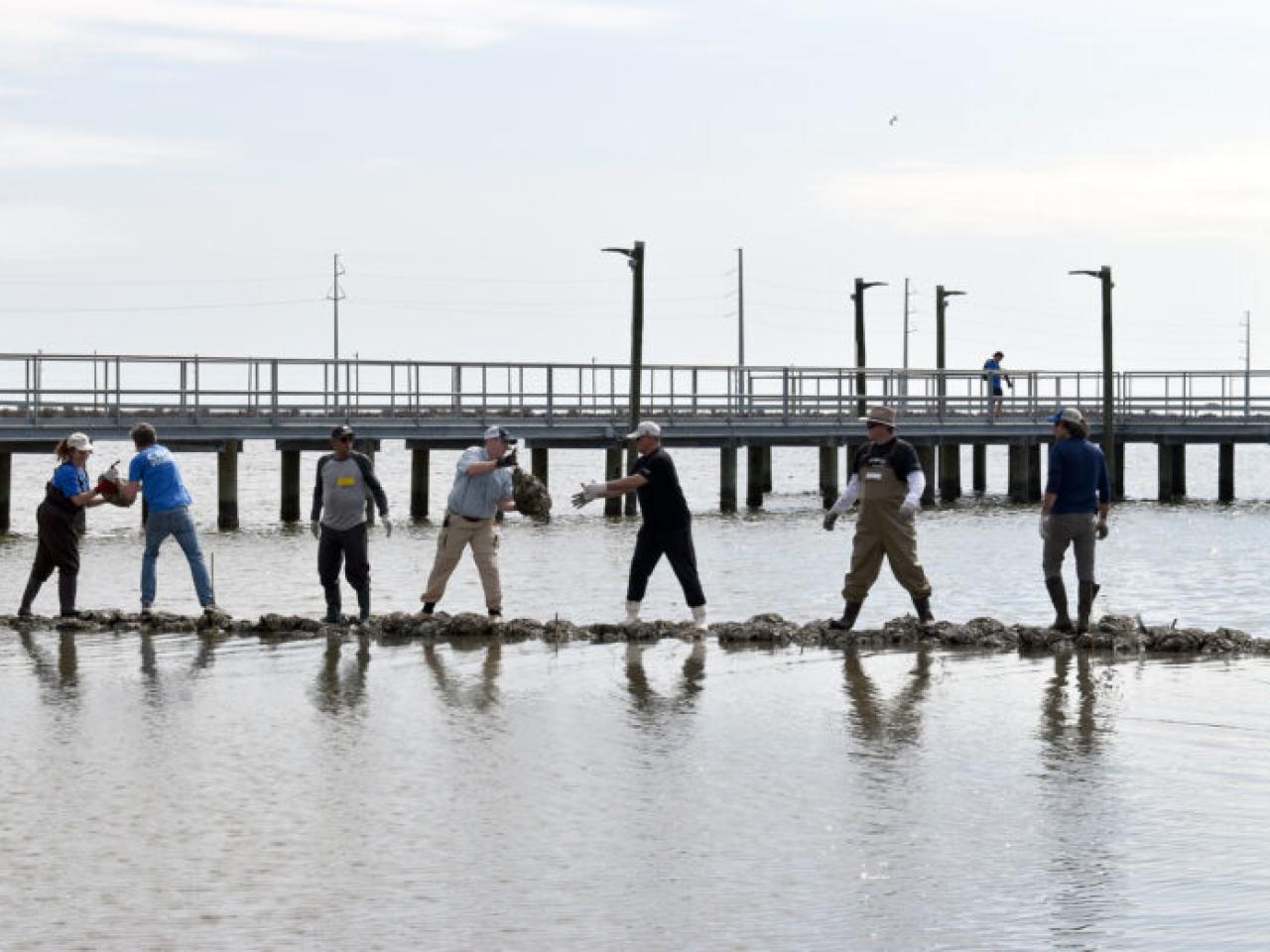 People helping to place sandbags
