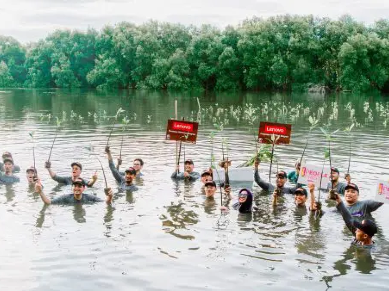People in a lake holding up signs and branches
