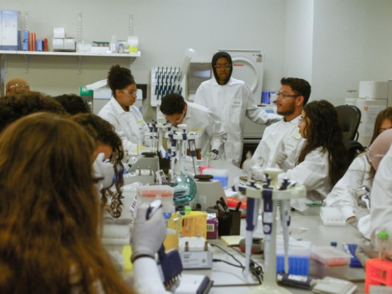 SD2 STEM students working in the lab.