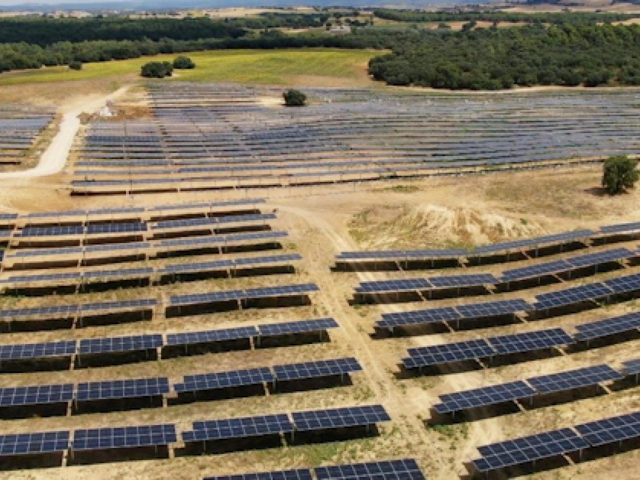 Field of solar panels