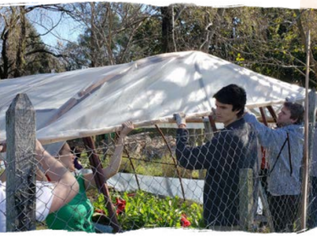 Employees lifting up a tent
