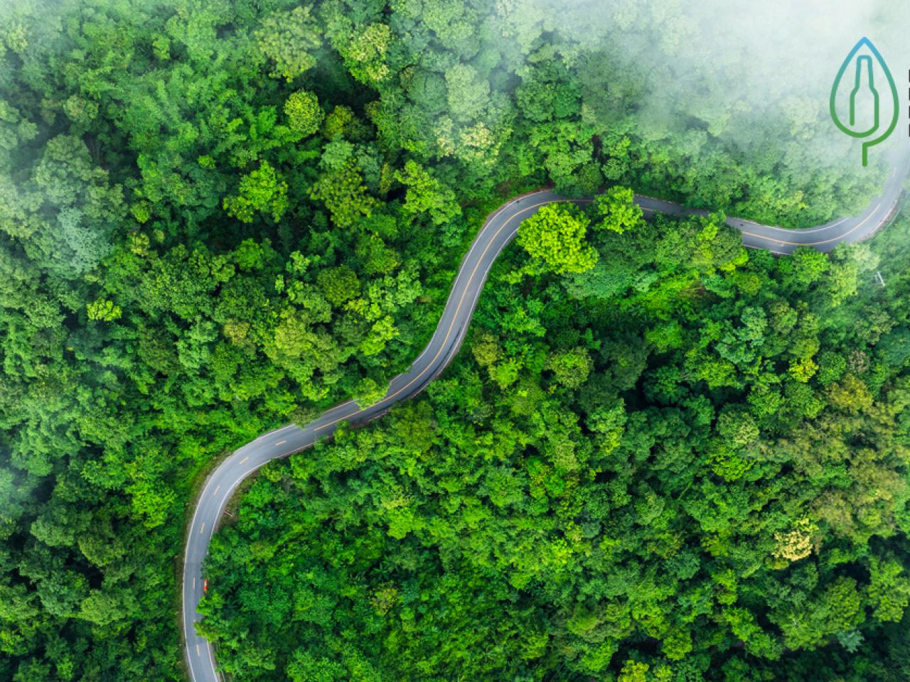 aerial view the road ahead