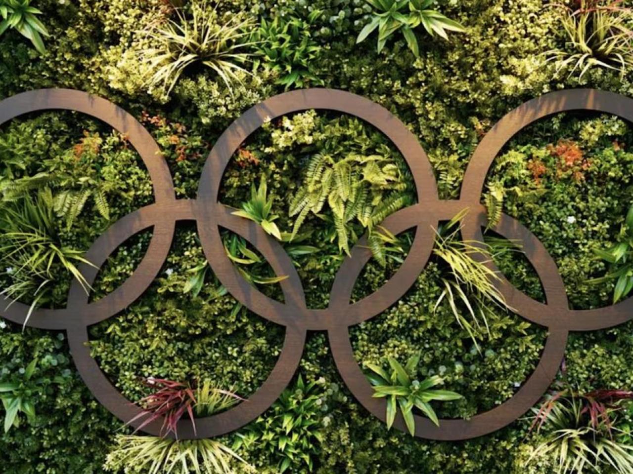 Olympic Rings amongst leaves