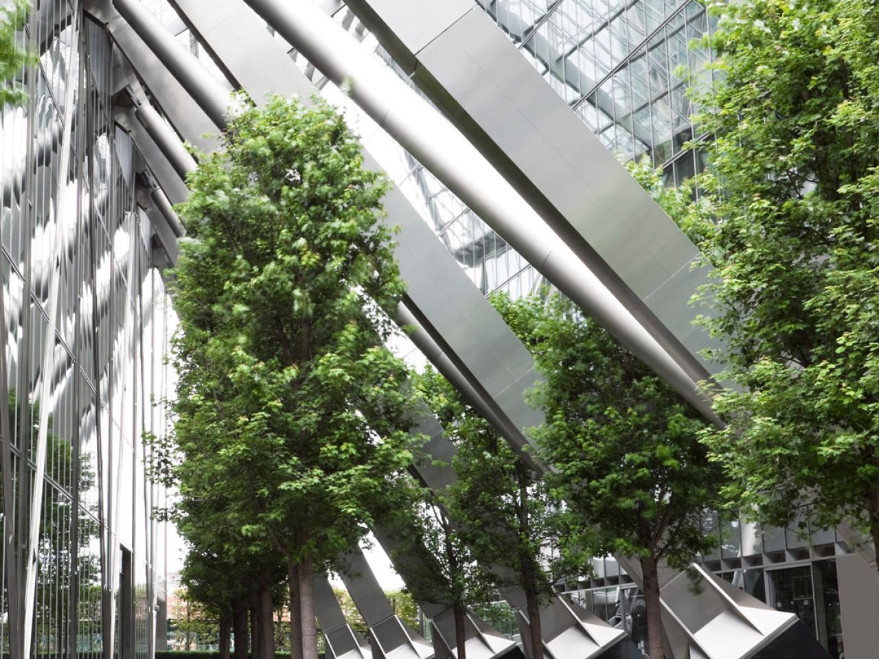 A glass office building with trees