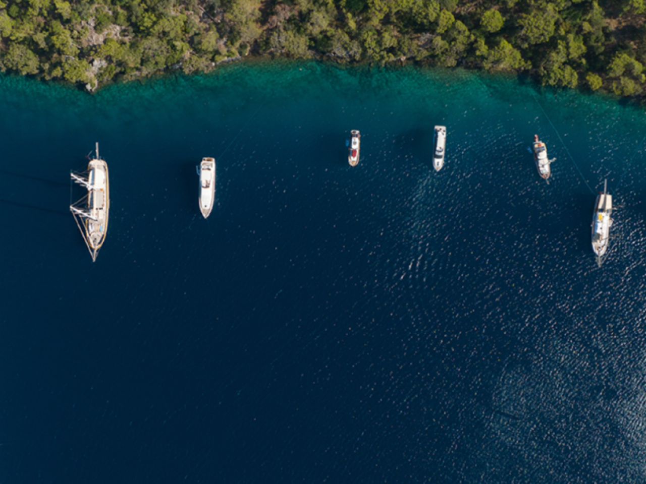 Bird's eye view of a bay with boats