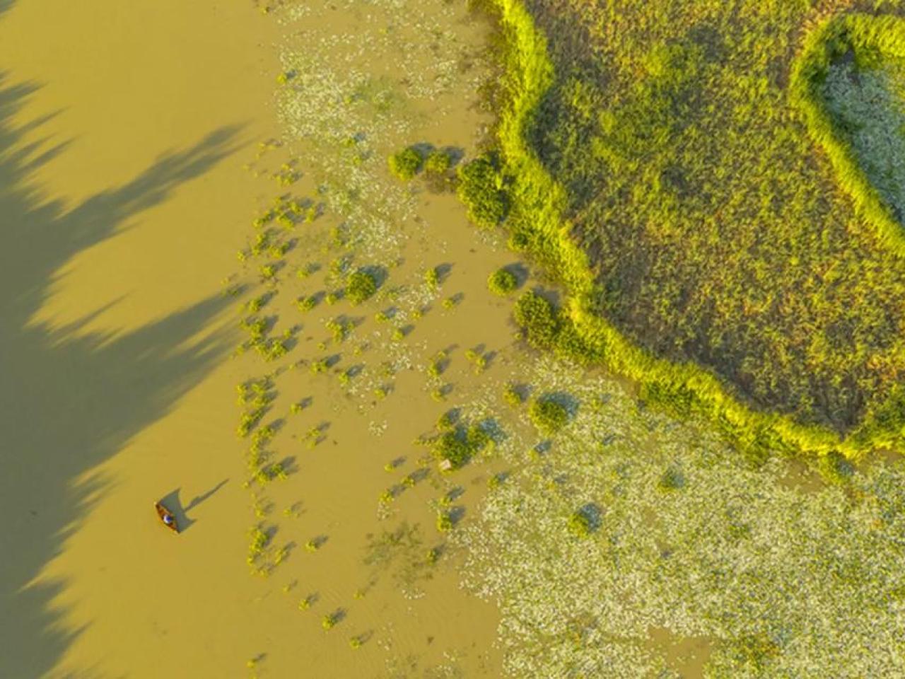 Aerial view of a person in a small boat on a mucky waterway.