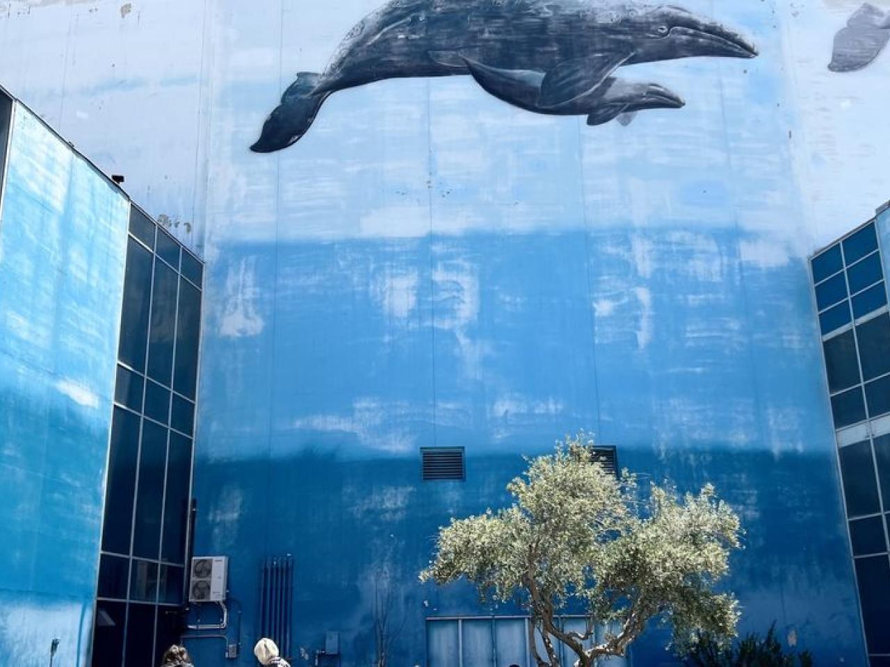 A whale painted on an exterior wall of a building 