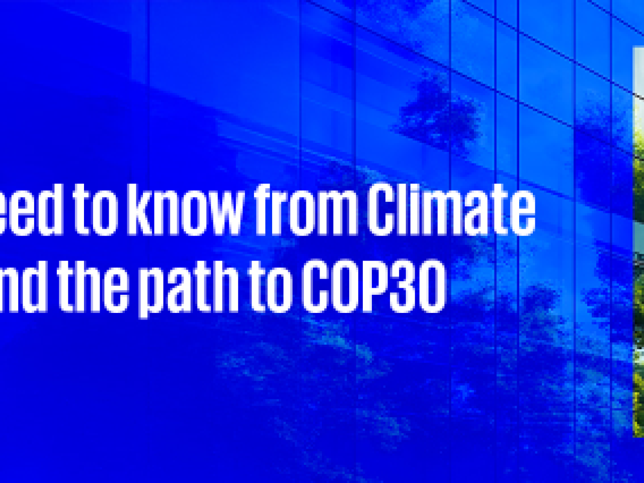 "What You Need To Know From Climate Week NYC and the Path to COP30"