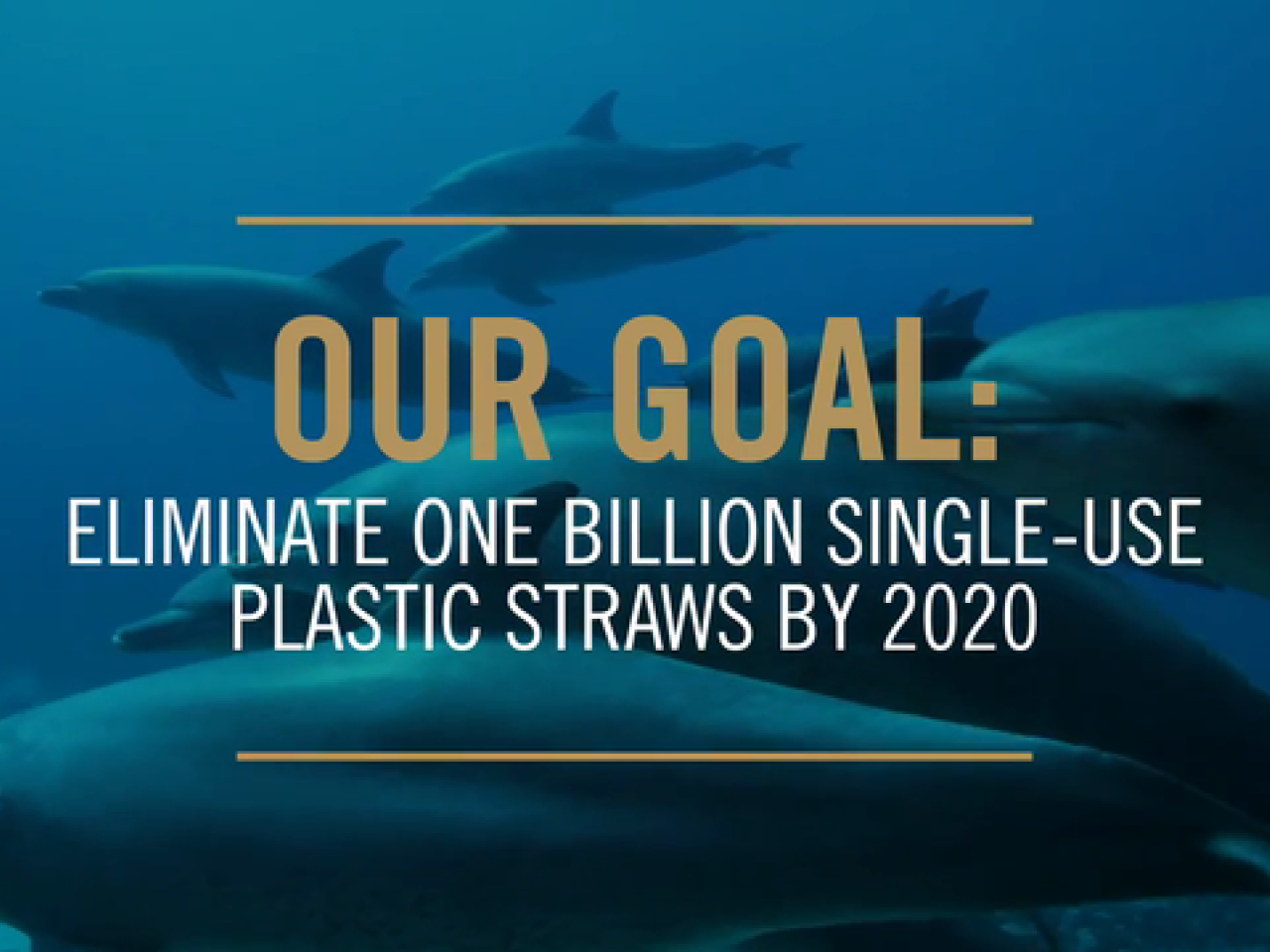 This Campaign Shows How Your Plastic Straws Suck the Life Out of Ocean  Animals