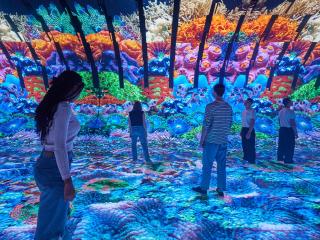 people standing in an art display