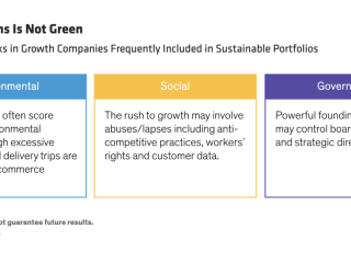 Chart of ESG Risks in Growth Companies