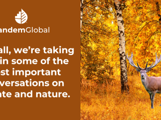 Tandem Global