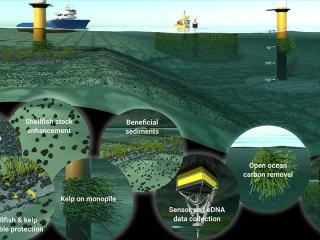 R​endering of offshore wind lease area environment with highlights of nature-based solutions capabilities. 