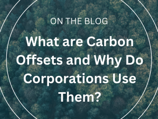 What Are Carbon Offsets and Why Do Corporations Use Them?