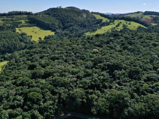 Forests along rolling hills