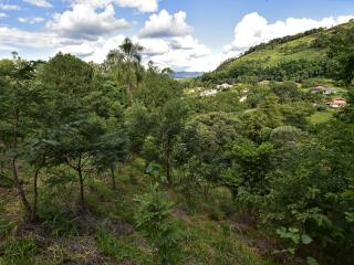 Tree-covered hills