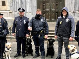 Police officers with Labrador puppies