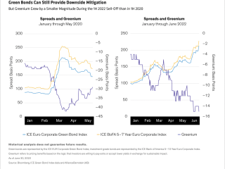 Green Bonds Can Still Provide Downside Mitigation