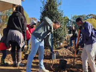 A group of people outside planting trees