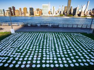 1000 plates placed on the lawn of the UN