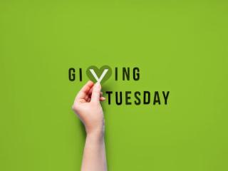 A green background. A hand holding a heart shaped "v" in "Giving Tuesday"