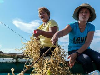 two women harvesting seaweed