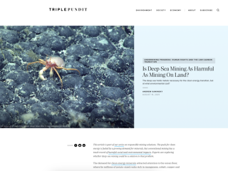 Screenshot of TriplePundit site