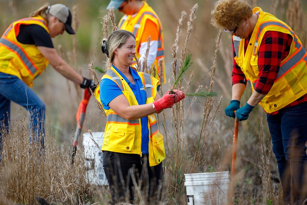 Caitlin Harris and other employees planting seedlings.