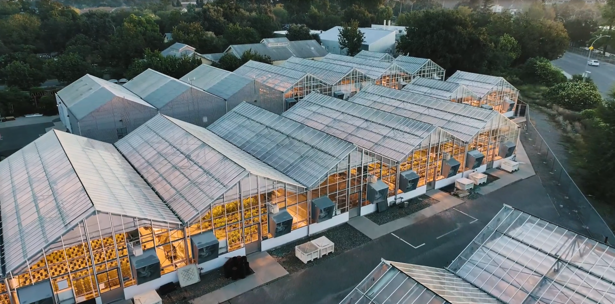 Aerial view of a large complex of greenhouses