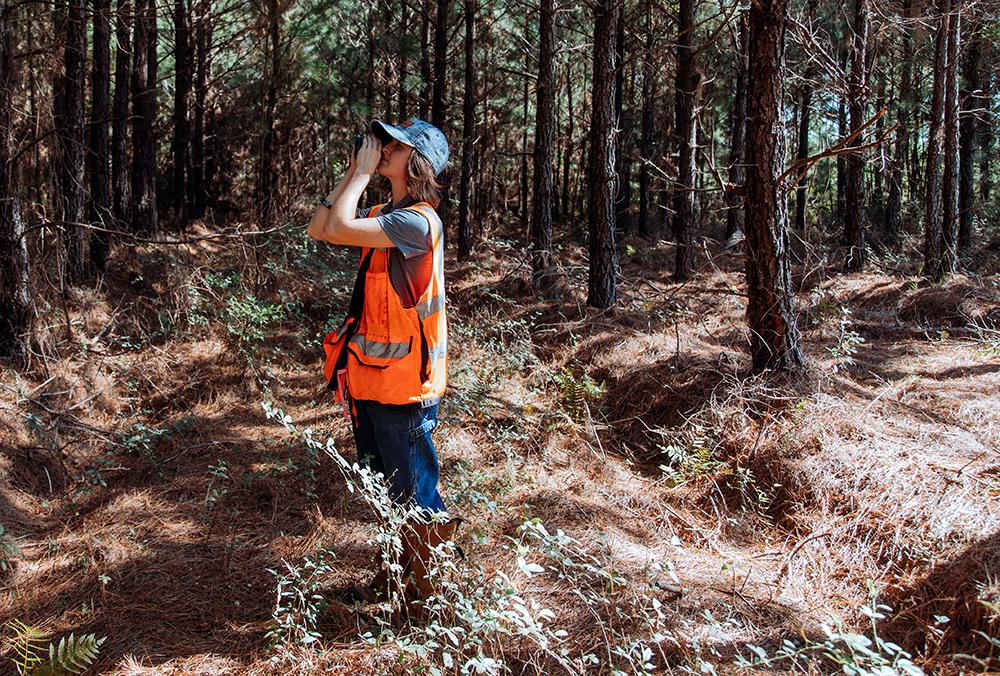 Research Biometrician Stephanie Patton monitors tree growth in one of Rayonier’s forests