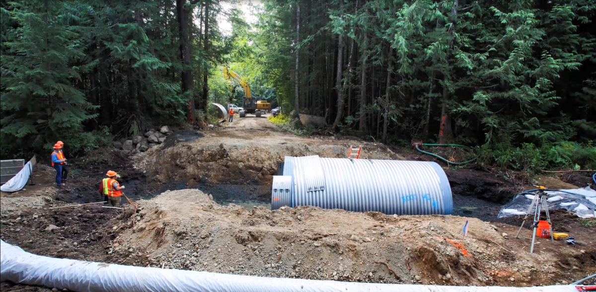 A metal tunnel placed in a culvert in a densely forested area.