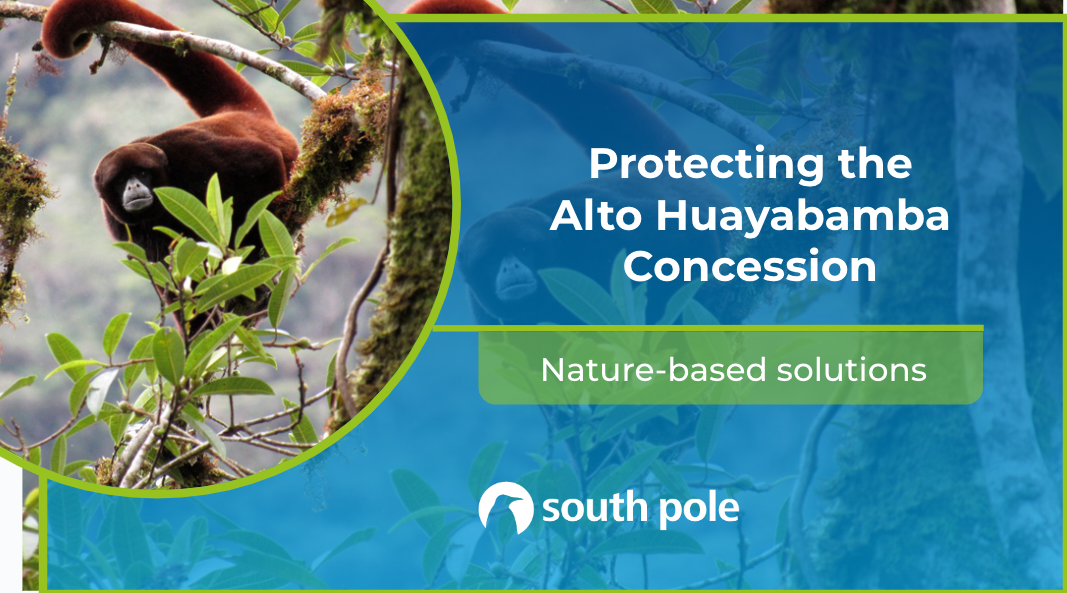 Carbon finance is enabling the long-term protection of the Alto Huayabamba concession by supporting local livelihoods.
