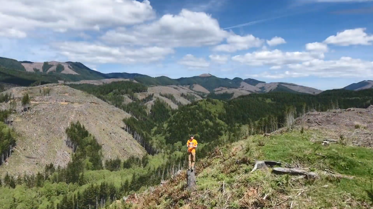 drone footage of A person on a tree stump in a forested and hilly area.