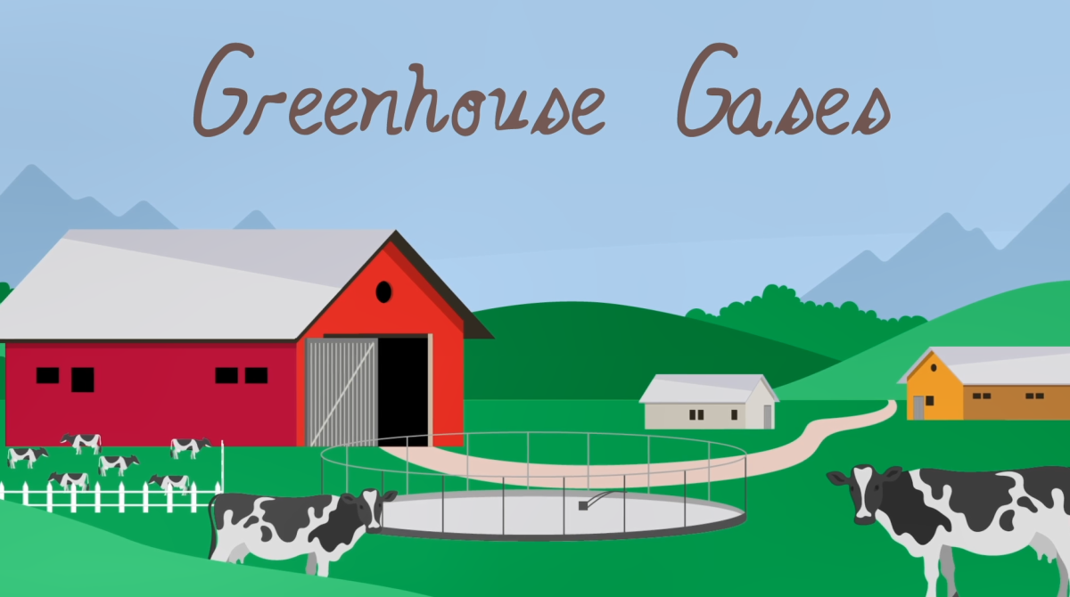 Digital imaging of cows on a farm "Greenhouse Gasses in script in the sky.
