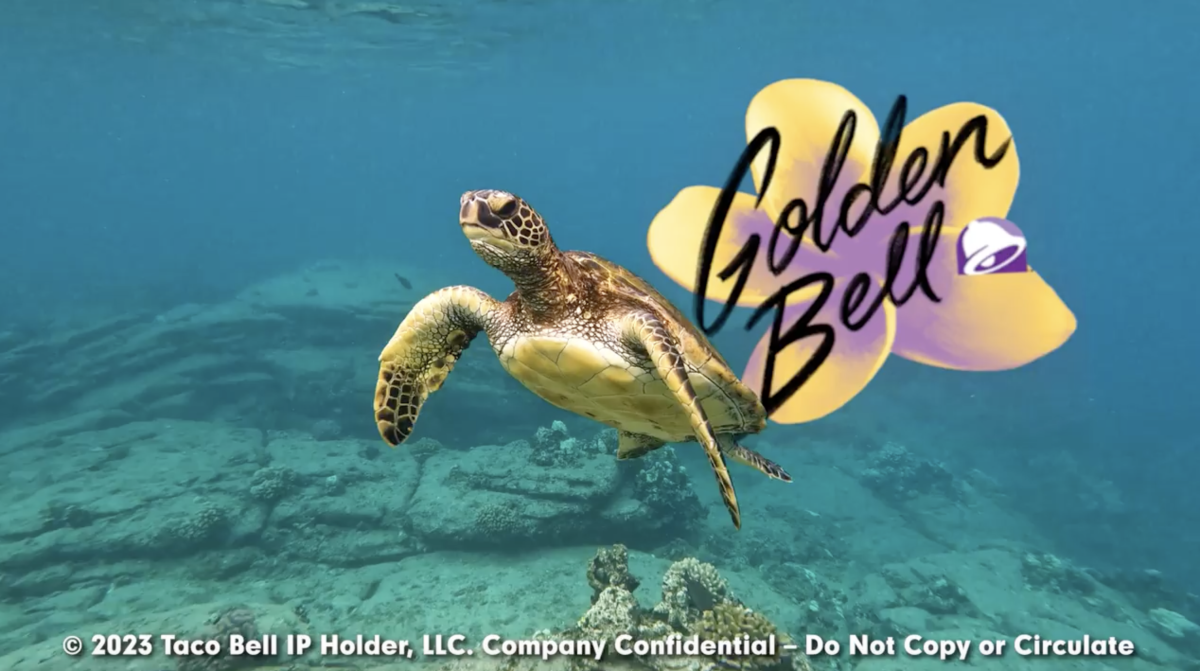 Sea turtle swimming next to Golden Bell logo