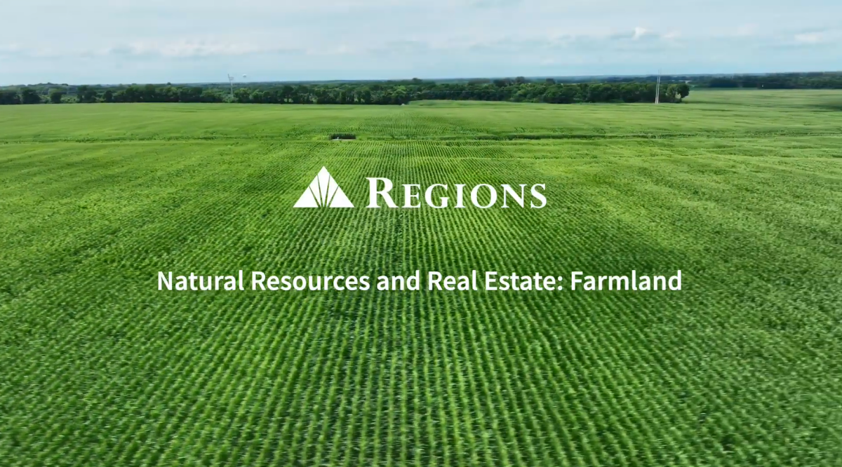 Regions Natural Resources and Real Estate
