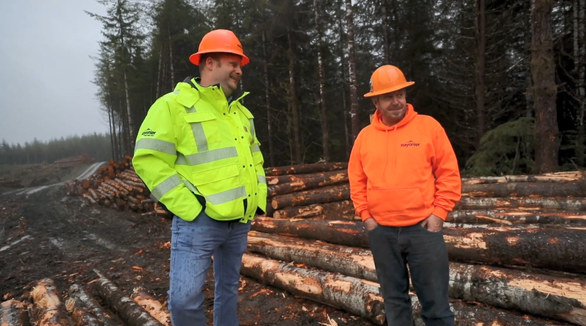 Two people in high-vis clothing and hard hats talking by piles of cut timber.