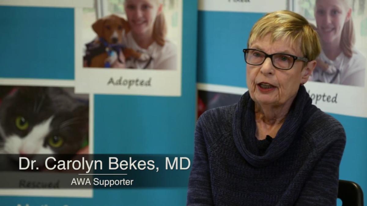 Dr. Carolyn Bekes, MD - AWA Supporter